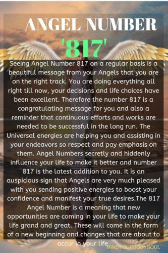 817 angel number